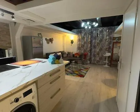 Cosy Loft Au Coeur De Centre Lejlighed