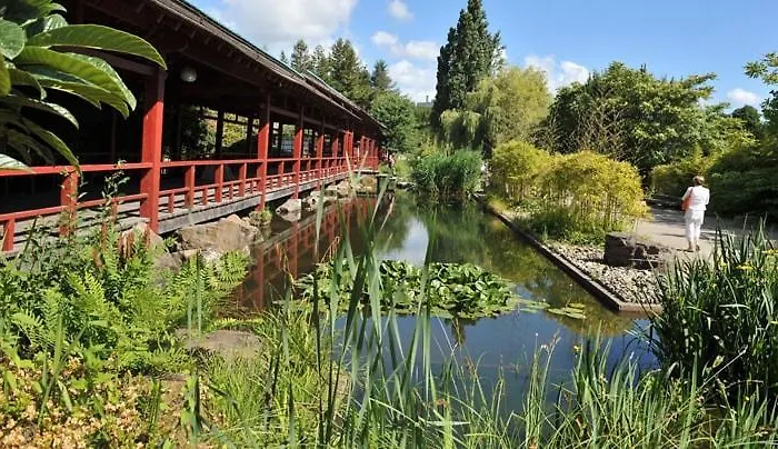 Cosy Loft Au Coeur De Centre Apartman
