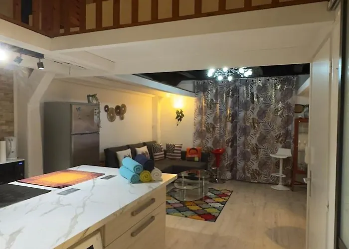 Apartman Cosy Loft Au Coeur De Centre